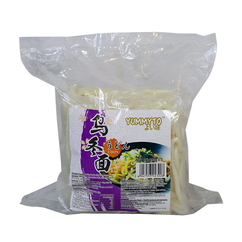 traditional thin udon noodles