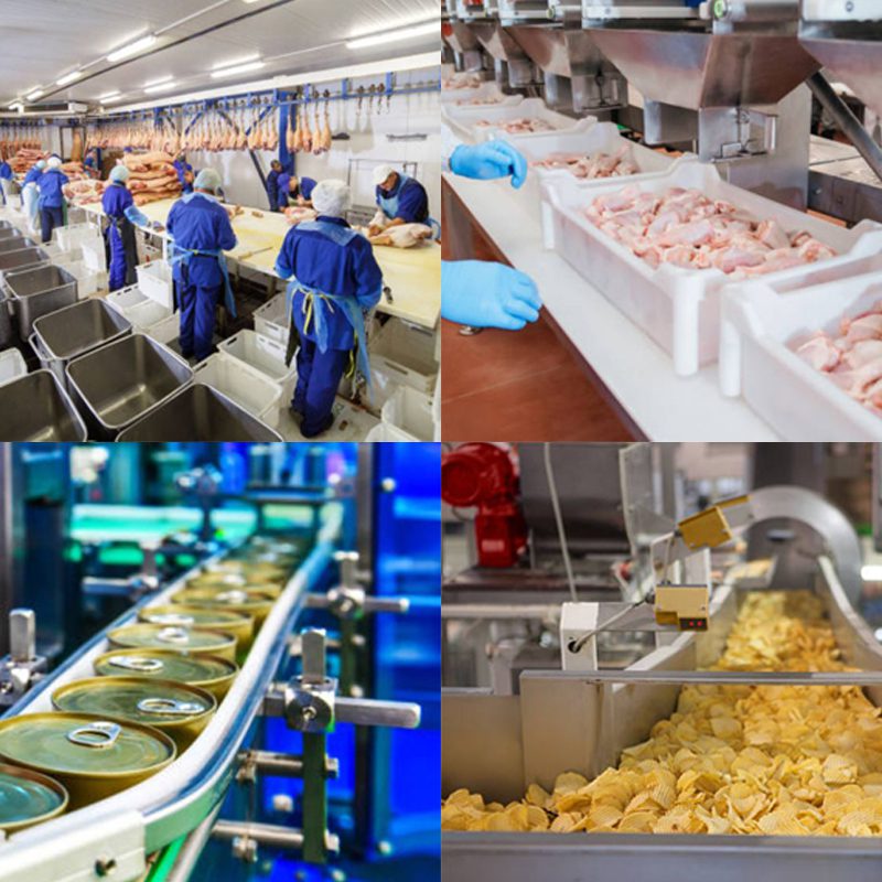 food processing