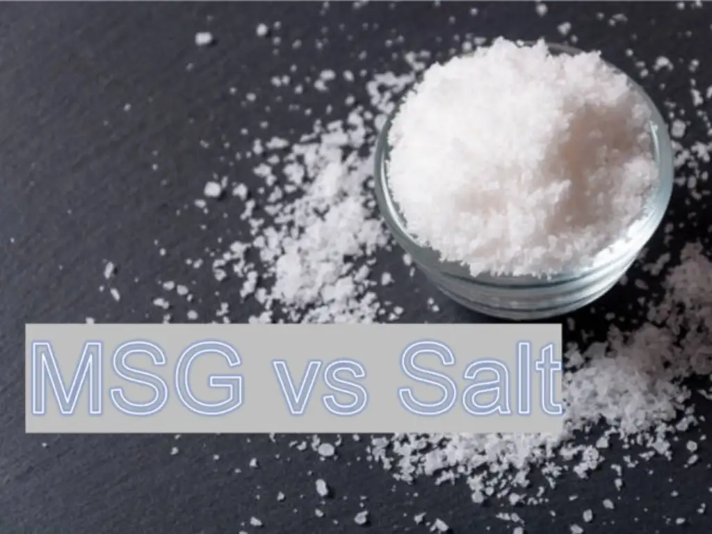 MSG vs Salt The Ultimate Comparison Guide